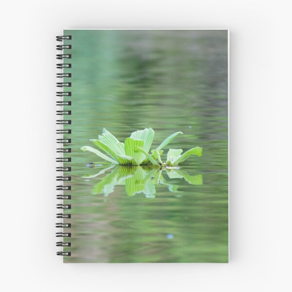 Item preview, Reflections - Amazon River, Peru designed and sold by Gypsy Soul Images.