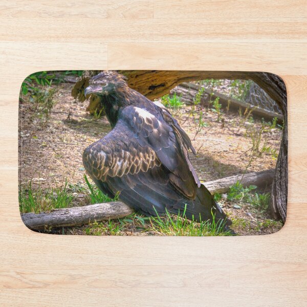 Item preview, Wedge-Tailed Eagle seeking a chance to Fly designed and sold by Steven Jodoin.