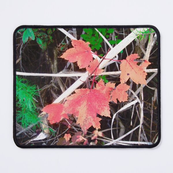 Item preview, Colourful Leaves designed and sold by Shulie1.