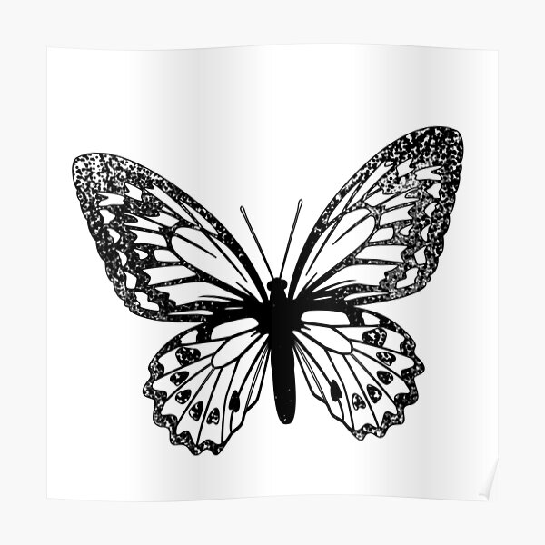 "black and white butterfly" Poster for Sale by yeehawboyy Redbubble