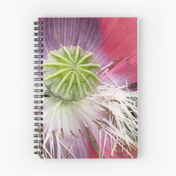 Item preview, Softness designed and sold by Marylou Badeaux.