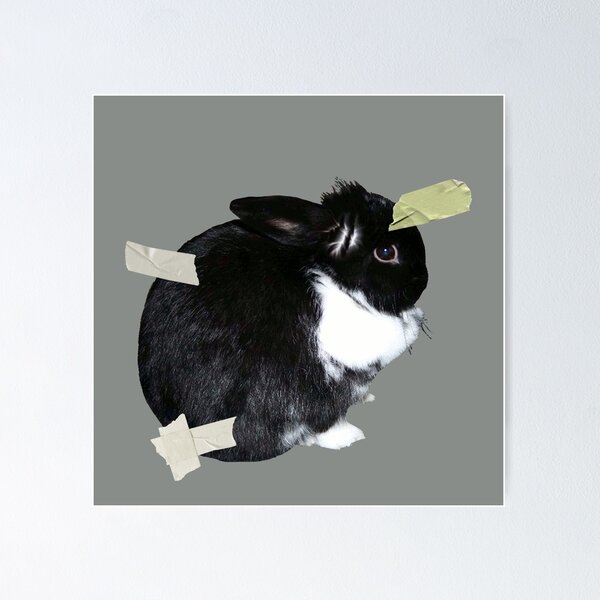 Item preview, Bunny Rabbit, Tape, Black and White Lop Bunny designed and sold by suekieper.