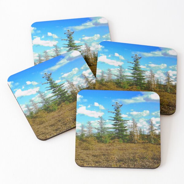 Item preview, Mer Bleue Bog designed and sold by Shulie1.