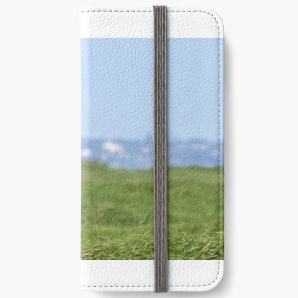 Australian Shelduck (420) iPhone Wallet