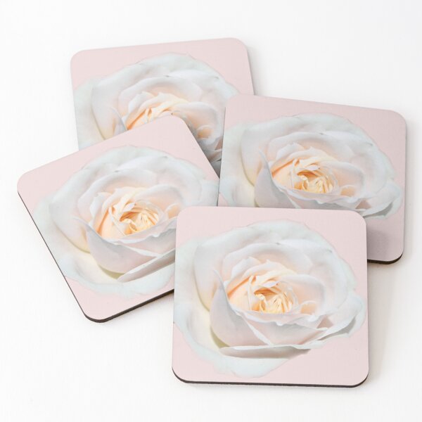 Item preview, pretty pure white rose flower. Floral photo art.  designed and sold by naturematters.