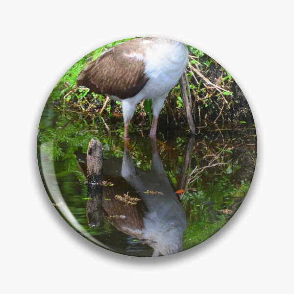 Item preview, Juvenile White Ibis Reflections designed and sold by LisaWootenPhoto.
