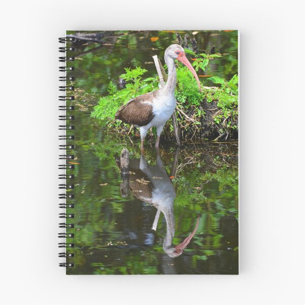 Item preview, Juvenile White Ibis Reflections designed and sold by LisaWootenPhoto.