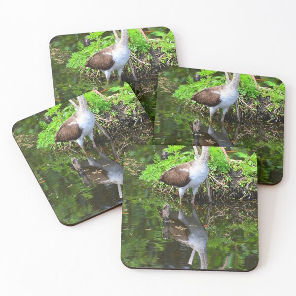 Item preview, Juvenile White Ibis Reflections designed and sold by LisaWootenPhoto.