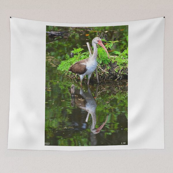 Item preview, Juvenile White Ibis Reflections designed and sold by LisaWootenPhoto.