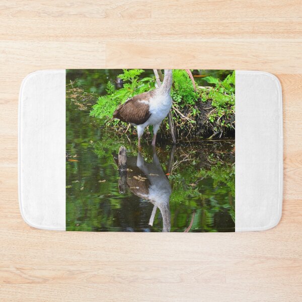 Item preview, Juvenile White Ibis Reflections designed and sold by LisaWootenPhoto.