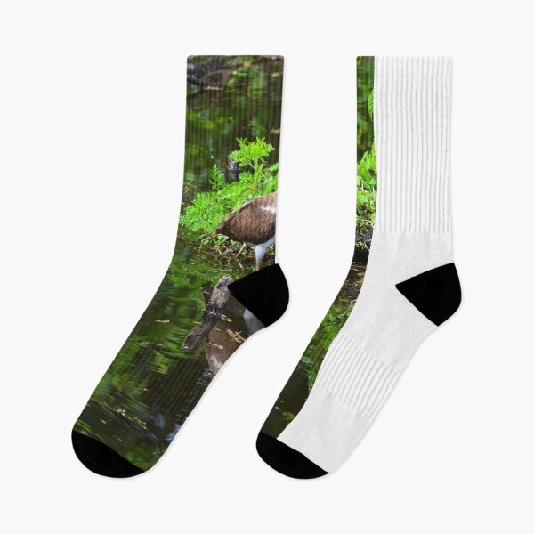 Item preview, Juvenile White Ibis Reflections designed and sold by LisaWootenPhoto.