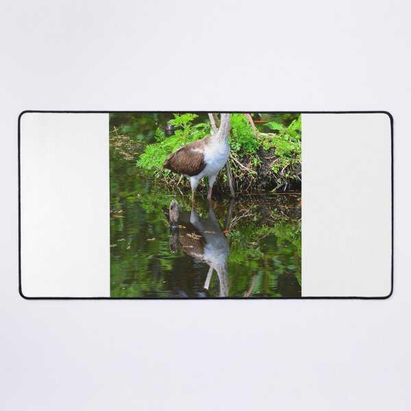 Item preview, Juvenile White Ibis Reflections designed and sold by LisaWootenPhoto.