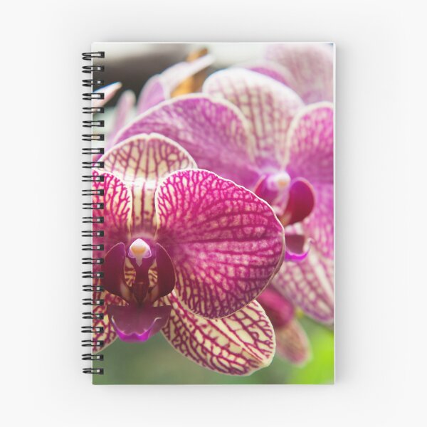 Item preview, Orchid - Mindo Cloud Forest, Ecuador designed and sold by Gypsy Soul Images.