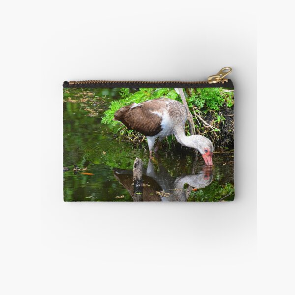 Item preview, Reflections Of A Juvenile White Ibis designed and sold by LisaWootenPhoto.