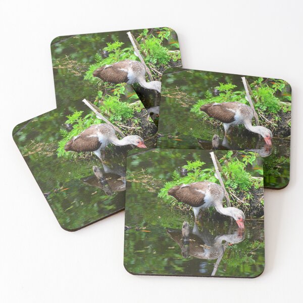 Item preview, Reflections Of A Juvenile White Ibis designed and sold by LisaWootenPhoto.