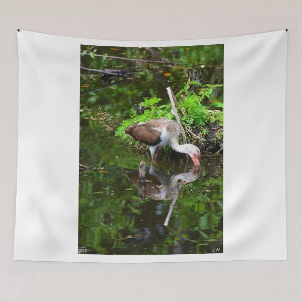 Item preview, Reflections Of A Juvenile White Ibis designed and sold by LisaWootenPhoto.