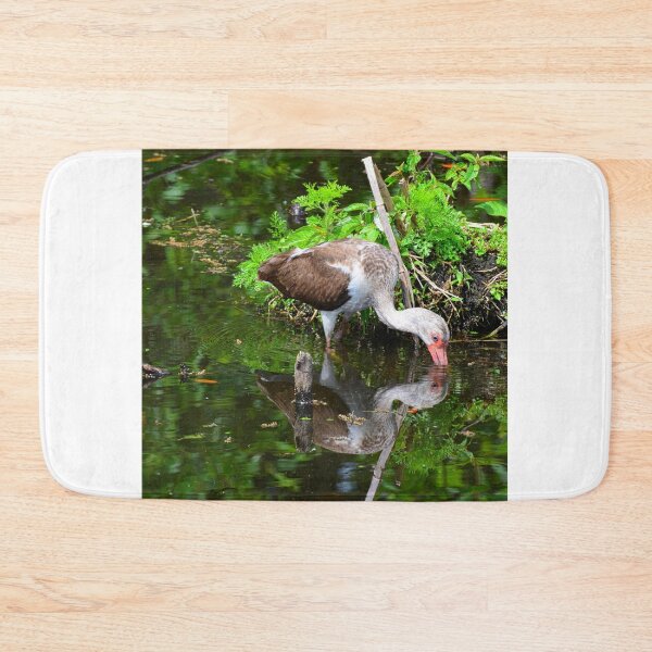 Item preview, Reflections Of A Juvenile White Ibis designed and sold by LisaWootenPhoto.