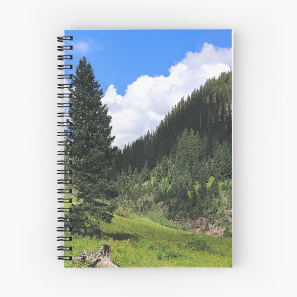 Item preview, Views towards Kennebec pass II designed and sold by zumi.