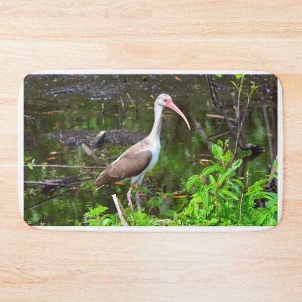 Item preview, American White Ibis Juvenile designed and sold by LisaWootenPhoto.