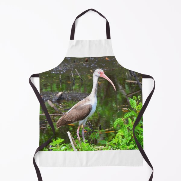 Item preview, American White Ibis Juvenile designed and sold by LisaWootenPhoto.