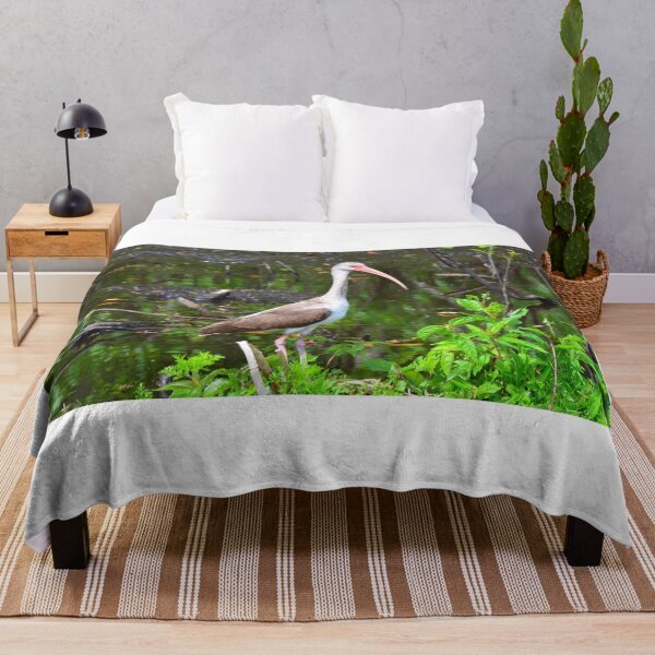 Item preview, American White Ibis Juvenile designed and sold by LisaWootenPhoto.