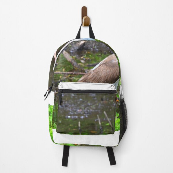 Item preview, American White Ibis Juvenile designed and sold by LisaWootenPhoto.