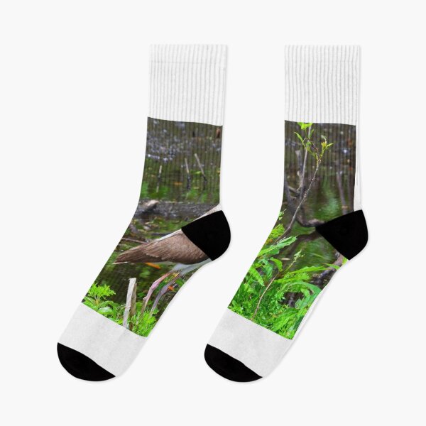 Item preview, American White Ibis Juvenile designed and sold by LisaWootenPhoto.