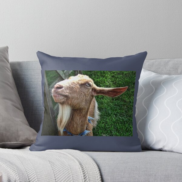 Item preview, Hi There Richard- Happy Birthday designed and sold by lynn carter.