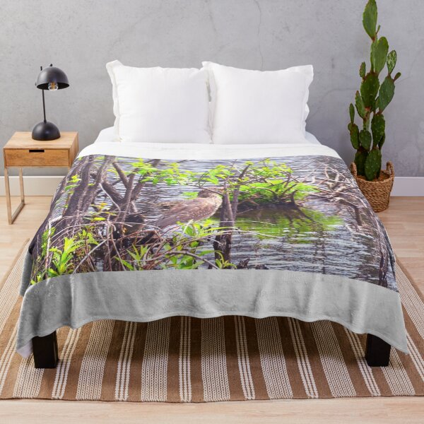 Item preview, Juvenile Black Crowned Heron Hiding designed and sold by LisaWootenPhoto.