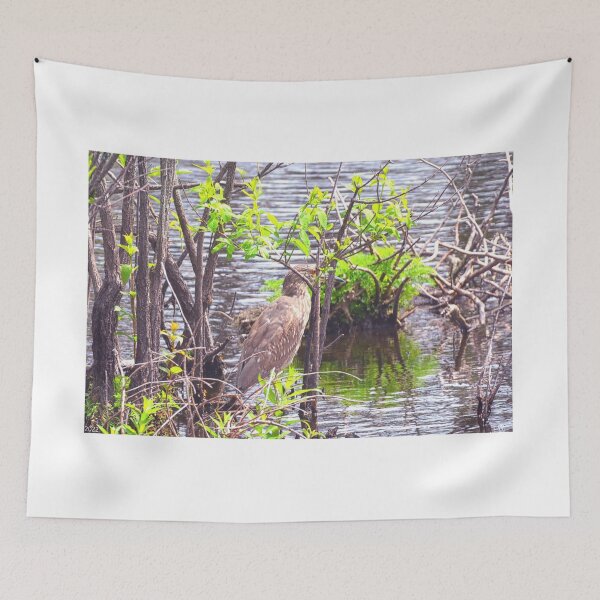 Item preview, Juvenile Black Crowned Heron Hiding designed and sold by LisaWootenPhoto.