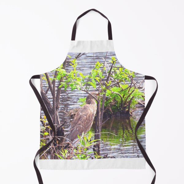 Item preview, Juvenile Black Crowned Heron Hiding designed and sold by LisaWootenPhoto.
