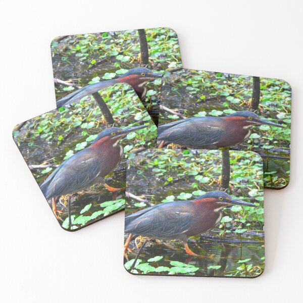 Item preview, Green Heron designed and sold by LisaWootenPhoto.