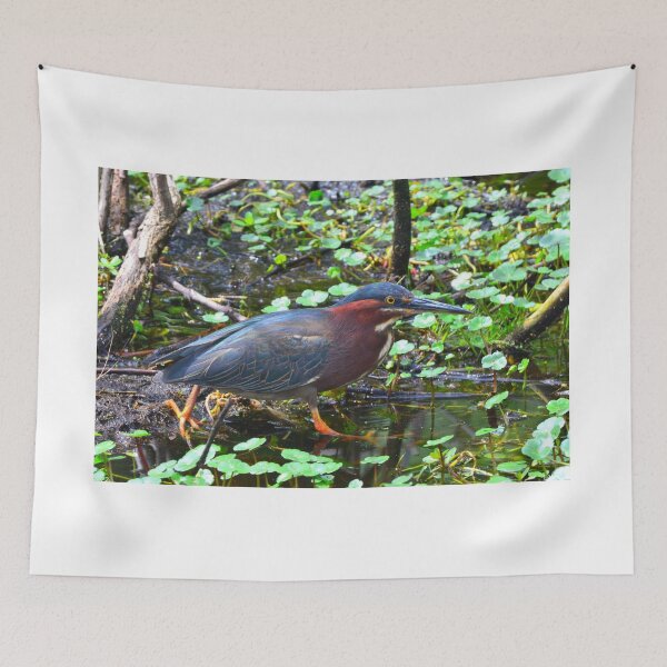 Item preview, Green Heron designed and sold by LisaWootenPhoto.