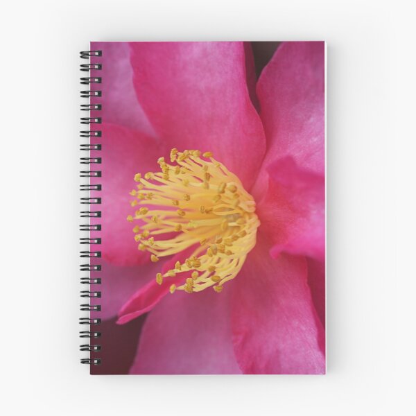 Item preview, Beautiful Bright Camellia Delight designed and sold by Joy Watson - Natural Light Photography .