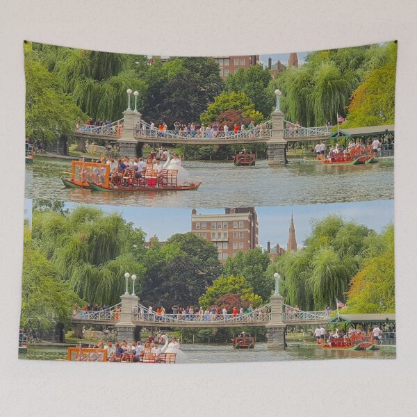 Item preview, Boston Common garden designed and sold by Tereza Pilar  Art.