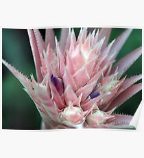 Enchanted Pink Poster