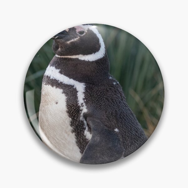 Item preview, Magellanic Penguin designed and sold by Glenn Welch.