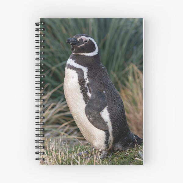 Item preview, Magellanic Penguin designed and sold by Glenn Welch.