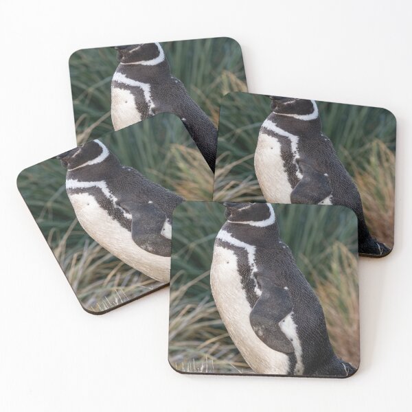 Item preview, Magellanic Penguin designed and sold by Glenn Welch.