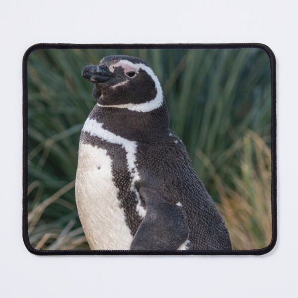 Item preview, Magellanic Penguin designed and sold by Glenn Welch.