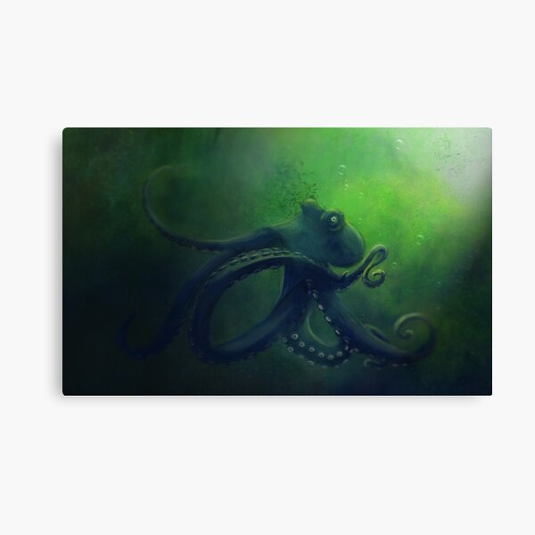 Krake Canvas Print