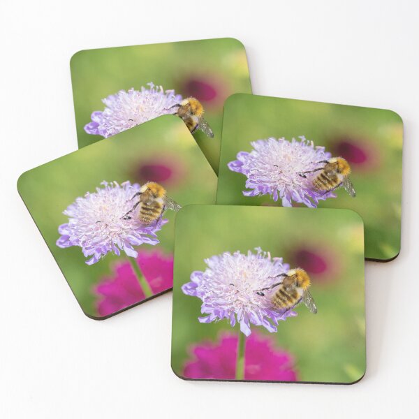Item preview, Carder Bee On A Pincushion Flower designed and sold by Tanya C  Smith.