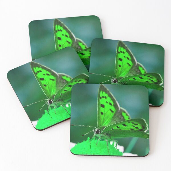 Item preview, Butterfly (MKW-I.8) designed and sold by Katrina Morgan.