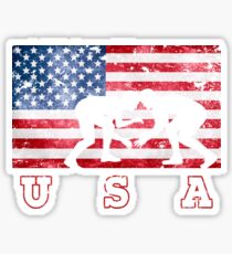 USA Wrestling Sticker