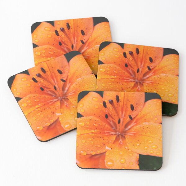 Item preview, beautiful golden lily flower. floral photography. designed and sold by naturematters.