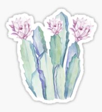 Pegatina Cactus de moda rosa y azul Desert Cacti Southwest Decor