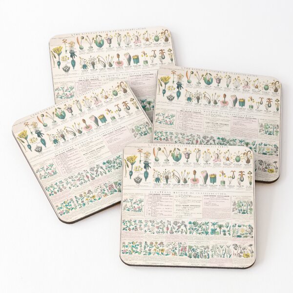 Item preview, Vintage Leaves, Flowers, and Fruits Botanical Chart  designed and sold by Old Soul Vintage .