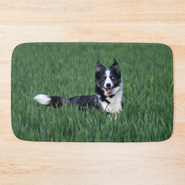Item preview, Bouncy Collie designed and sold by Fearless-Fox.
