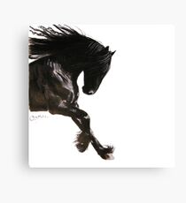 Horse PRiNT BLaCK FRieSiaN ' COOL DANCER ' by Shirley MacArthur Canvas Print