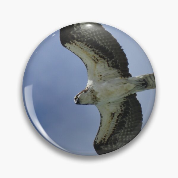 Item preview, Osprey in Flight designed and sold by Kim McClain Gregal.